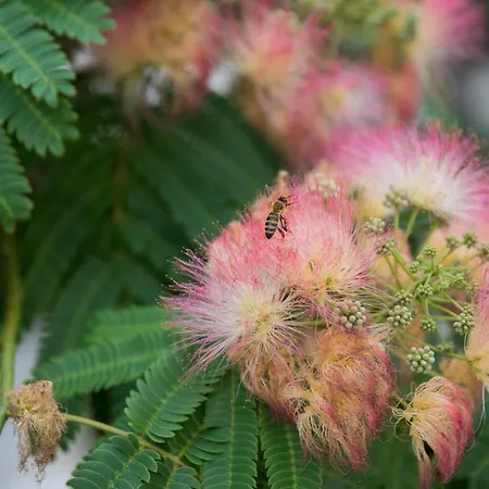 By The Sea Razanj, Rogoznica - 7484 Apartamento *