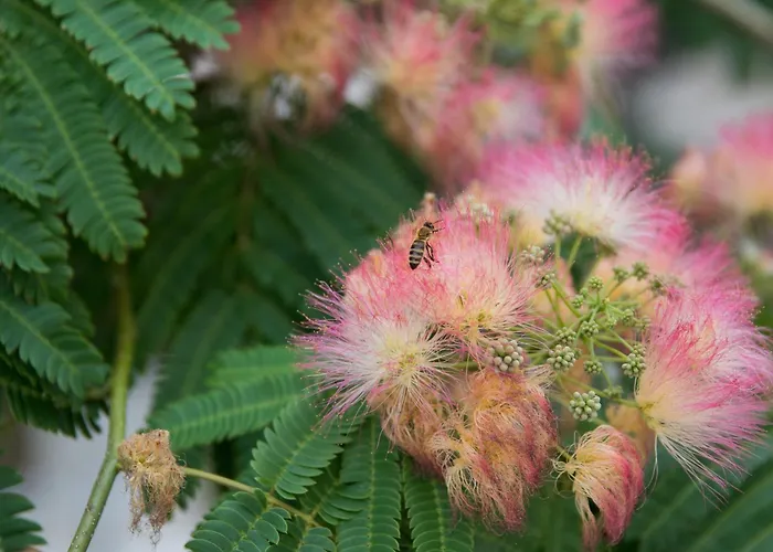 By The Sea Razanj, Rogoznica - 7484 Appartement *